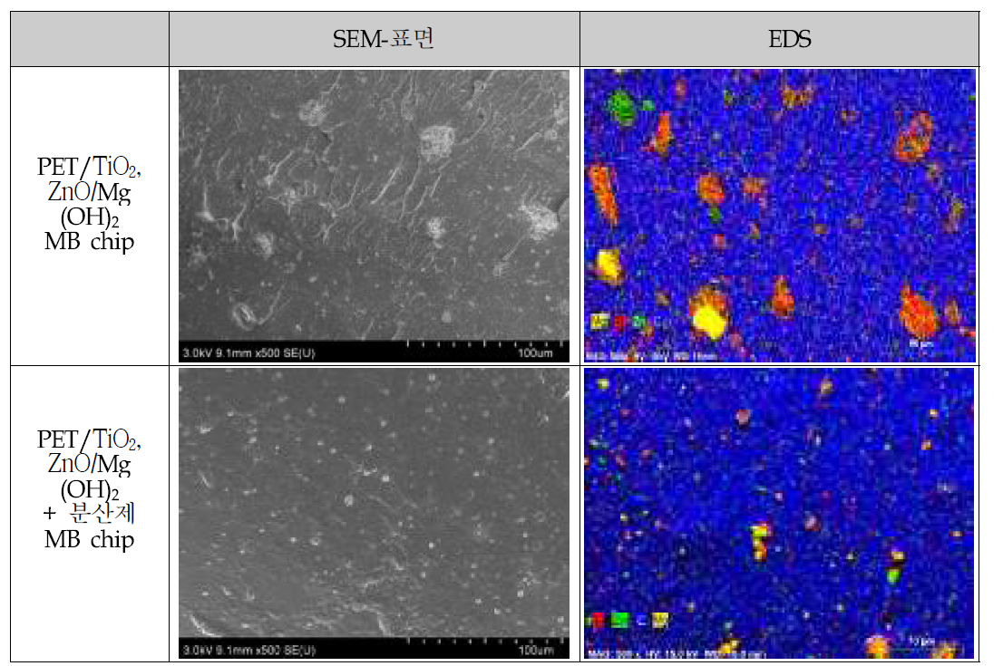 기능성 chip 제조과정 및 제조된 MB chip의 SEM 및 EDS
