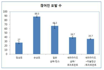 모발 끊어짐 평가(내부)