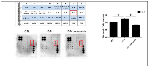 Human Inflammation Array kit를 이용한 20개의 염증 인자들 관찰