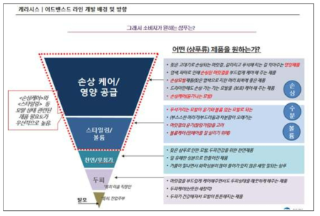 케라시스 어드밴스드 개발 배경 및 방향