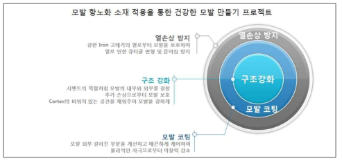 모발 항노화 제품 개발 전략