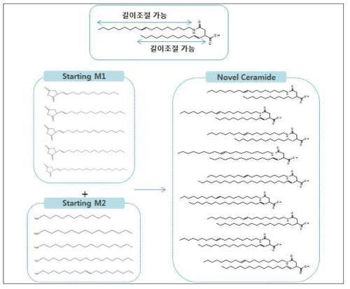 다양한 구조의 신규 세라마이드 후보