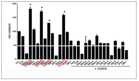 Cell viability by MTT assay