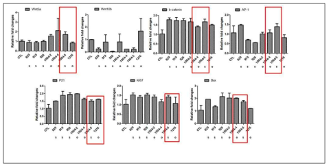 Ceramide의 HaCaT (keratinocyte)에서의 성장인자에 미치는 영향