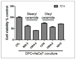 DPC와 HaCaT coculture후 ceramide 처치에 따른 cell viability 변화