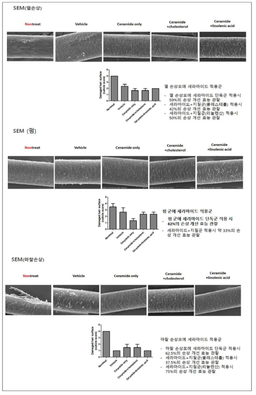 세라마이드와 지질 적용 후 효능 평가