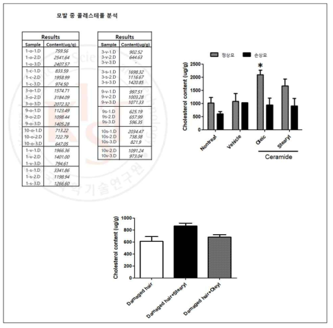 모발 중 콜레스테롤 분석