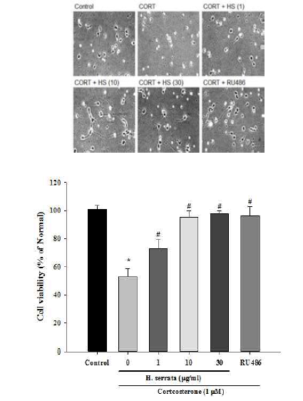 Effect of the extract of Hydrangea serrata (0-30 μg/ml) and RU-486 (1 μM) on viability of primary cortical neuronof mice