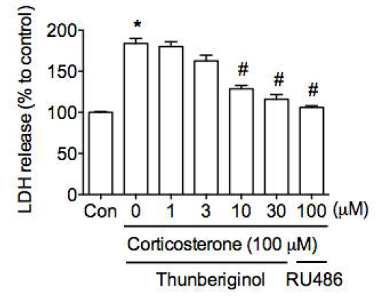 Corticosterone에 의한 세포사멸에 대한 thunberginol C의 효과. (LDH assay)