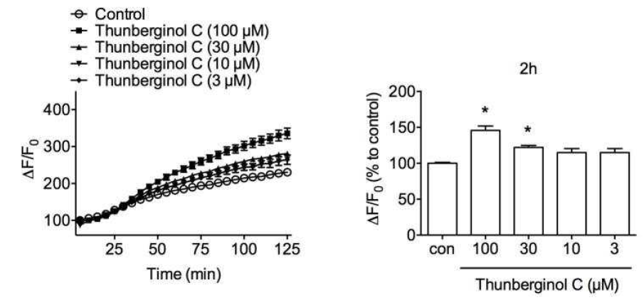 Adrenal cortical cell line에서 thunberginol C의 세포내 칼슘 유입 증가 효과