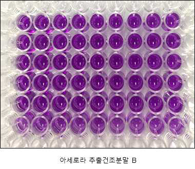 아세로라 추출건조분말B 세포독성