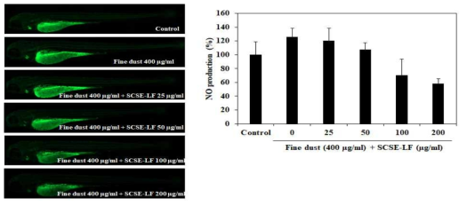 제브라피쉬에서 SCSE-LF 처리에 따른 NO 생성량