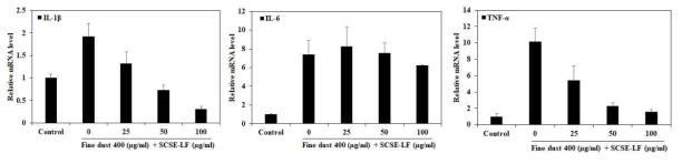 제브라피쉬에서 SCSE-LF 처리에 따른 염증성 사이토카인 발현에 미치는 영향