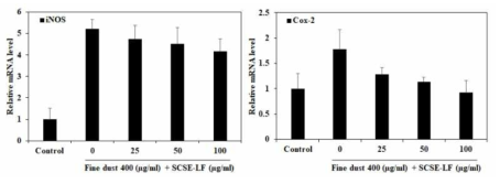 제브라피쉬에서 SCSE-LF 처리에 따른 염증 유발에 관여하는 인자인 iNOS 및 COX-2의 발현에 미치는 영향