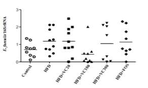 The composition rate of Enterococcus faecalis/total bacteria in large intestine of experimental mice. Control: Salin, HFD: high fat diet (60 kcal% fat) + probiotics, HFD+VC20, VC100, VC300: mice supplied with 30 % ethanol extract of Vaccinium Corymbosum (20, 100, 300 mg/kg BW/day) + probiotics, HFD+FOS: HFD+ fructooligosaccharide (2.5 g/kg·BW/day)