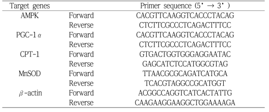 Primer sequences