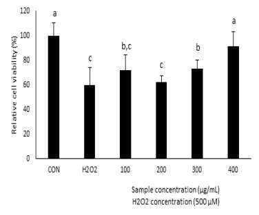 H2O2 Protective Effect of Rice Protein in C2C12 Myotube Cell