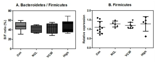 Ratio of Bacteriodestes to Frimicutes (B/F) and relative expression of Firmicutes in the mice colon samples. The composition is shown to relative expression compared to total bacteria. Con: AIN93G + White biscuit 20 mg/day +Lactobaillus acidophilus ATCC 4356 109-1011 CFU, NCL; High fat diet + White biscuit 20 mg/day + Lactobaillus acidophilus ATCC 4356 109-1011 CFU, VC30:High fat diet + White biscuit 20 mg/day +Lactobaillus acidophilus ATCC 4356 109-1011 CFU + bluberry 30% ethanol extract 20 mg/bw·kg/day, High: High fat diet + blueberry biscuit 20 mg/day +Lactobaillus acidophilus ATCC 4356 109-1011 CFU