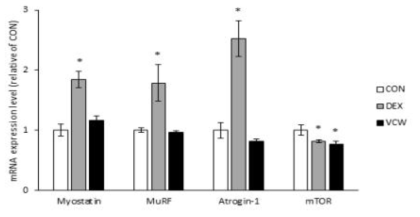 Effect of Vaccinium corymbosum water extract on mRNA expression levels in muscle as determined by RT-PCR. Each value represents the mean ± S.E. in each group. The various letters represent statistically different values compared to those of the CON group as assessed by Duncan’s multiple range test (p < 0.05)