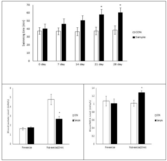 1, 2, and. Effect of Sample on Swimming Time, Blood Lactate and Blood NEFA Level. Data express the mean ± S.E. The asterisk above the bar is statically different from the CON group by Student’s t-test (p < 0.05) CON: exercise with D.W., Sample: exercise with 1 g/kg b.w./day of sample