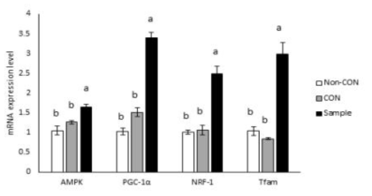 Effect of Sample on mRNA expression levels in muscle for mitochondrial biogenesis factors determined by RT-PCR. Data express the mean ± S.E. Different letters in a column are statistically different by Duncan‘s multiple range test (p < 0.05) Non-CON: non-exercise with D.W. CON: exercise with D.W. Sample: exercise with 1 g/kg b.w./day of sample
