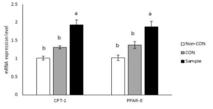 Effect of Sample on mRNA expression levels in muscle for fatty acid β-oxidation factors determined by RT-PCR. Data express the mean ± S.E. Different letters in a column are statistically different by Duncan‘s multiple range test (p < 0.05) Non-CON: non-exercise with D.W. CON: exercise with D.W. Sample: exercise with 1 g/kg b.w./day of sample