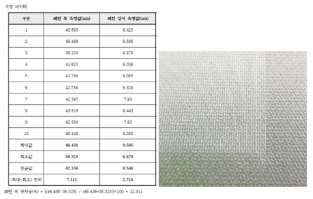 패턴 폭, 길이 측정 DATA