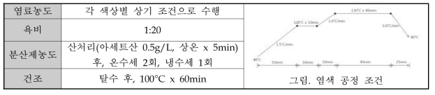 염색 공정 조건