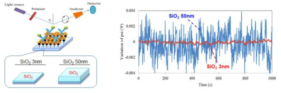 실리콘 산화막에 따른 액침실리콘 타원계측기 측정 노이즈신호 비교