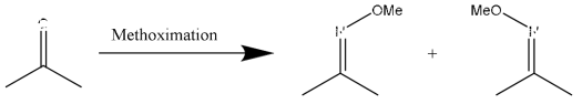 Methoximation of carbonyl groups