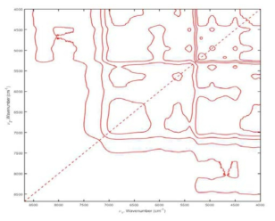 Synchronous 2D-COS analysis of rice samples