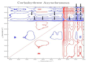 Asynchronous 2D-COS analysis of rice samples in carbohydrate