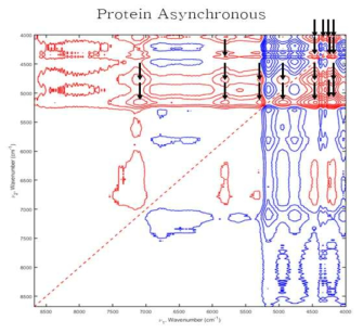 Asynchronous 2D-COS analysis of rice samples in crude protein