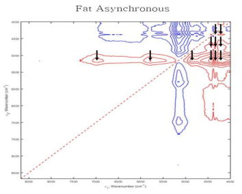 Asynchronous 2D-COS analysis of rice samples in crude fat