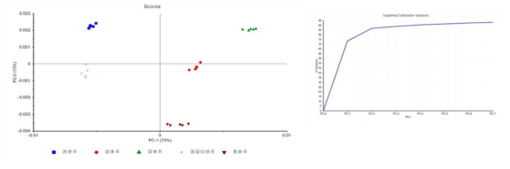 PCA score plot and explained variance plot of chinese cabbage powder sample after baseline offset, linear baseline correction and SG smoothing pre-processing