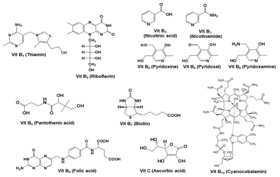 Chemical structures of water-soluble vitamins