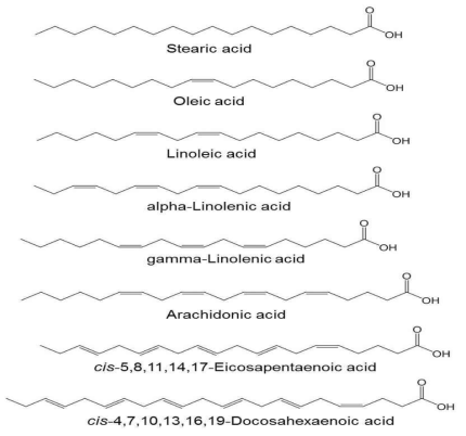Chemical structures of essential fatty acids