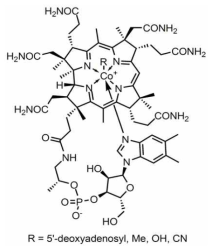 Molecular structure of cyanocobalamin