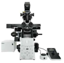 Nikon inverted microscopy