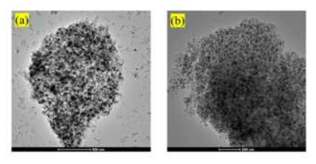 Ce이 alumina에 IWI 방법에 의해 분산된 TEM images: (a) Puralox TM 100/150 and (b) Puralox SBa-200