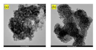 F-1 촉매의 TEM images; (a) 20 nm scale bar, (b) 50 nm scale bar