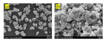 F-1 촉매의 SEM image