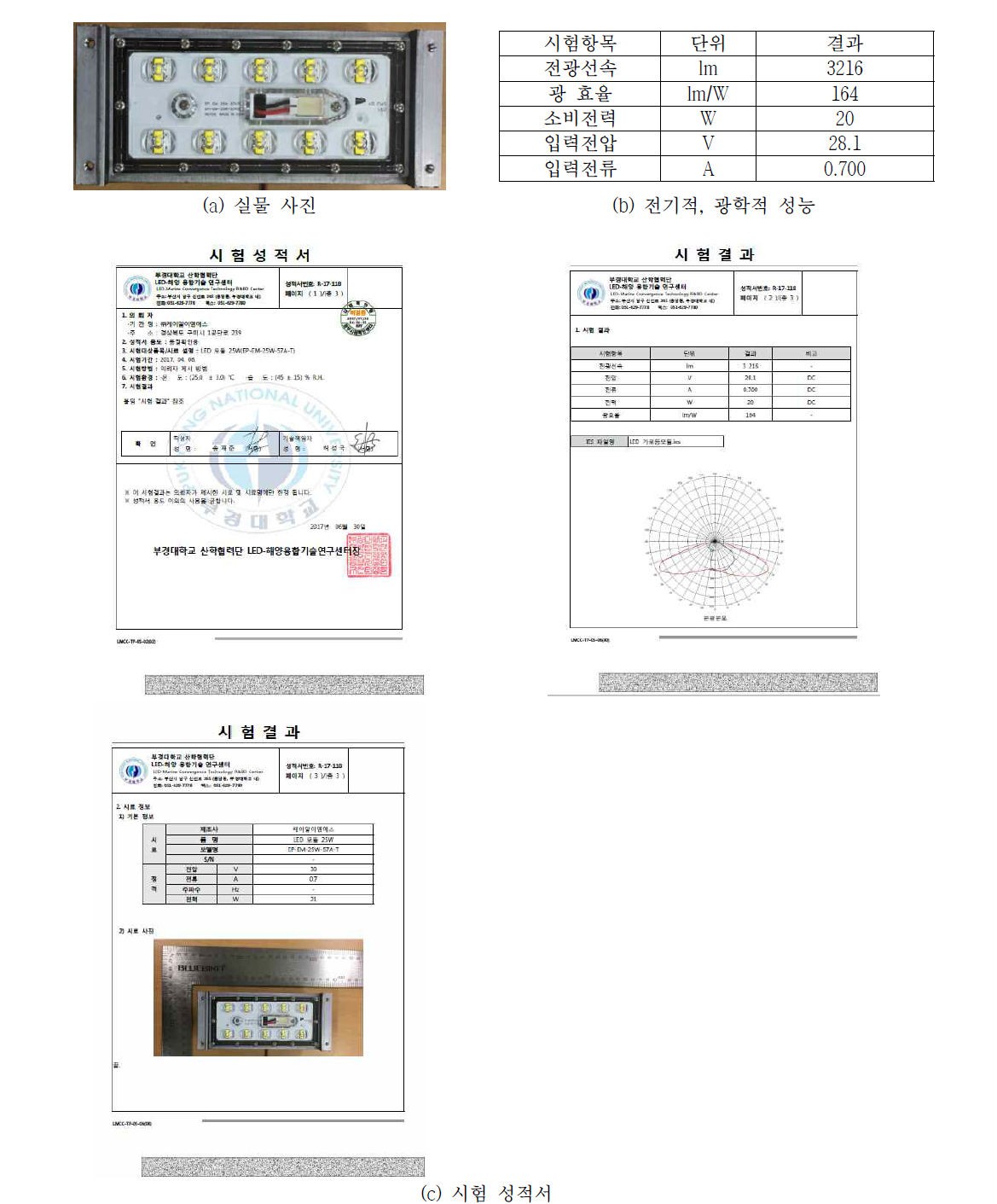 25W Light Engine(터널등용)