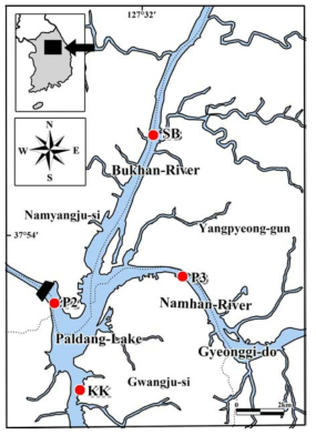 Survey sites for aquatic plants Total 4 sites of Bukhan-River (SB), Namhan-River (P3), Kyeongan-Stream (KK) and front of Paldang Dam (P2)