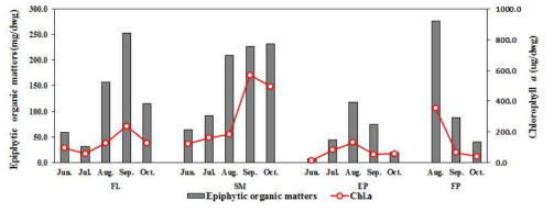 Epiphytic organic matter and Chlorophyll a by life forms of aquatic plants in Lake Paldang