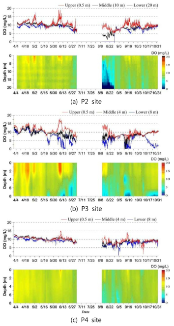 Time series and vertical distributions of measured DO at each site