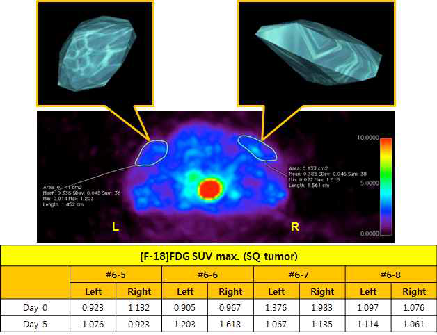 [F-18]FDG PET-CT Imaging. Laser를 이용한 SQ xenograft tumor model에서의 치료효과를 SUV max.값 측정 후 비교관찰. Osirix software를 이용한 tumor의 VOI 측정