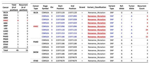 CDKN2A 유전자의 재발성 nonsense 변이의 양상, TCGA 데이터 분석