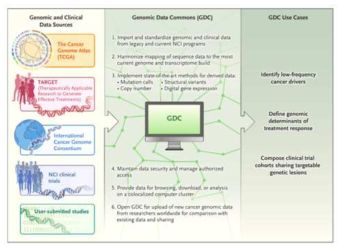 Cancer Moonshot 2020과 Genomic Data Commons (CDC)에 의한 개별 데이터셋의 통합 (Grossman et al, N Eng J Med, 2016)