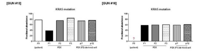 환자 종양(F0), 환자유래이종이식모델(F1, F2, F3) 및 PDX-유래 세포주(p7, p12)에서 KRAS mutation이 유지된 예(GUN #13, GUN #16)